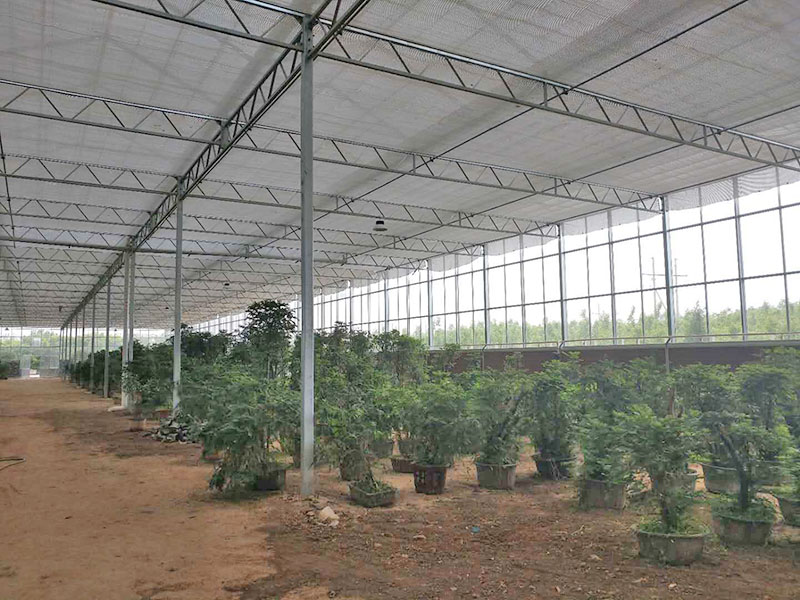 溫室大棚如何提高化肥利用效率？