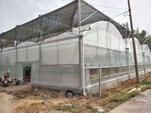 蔬菜大棚