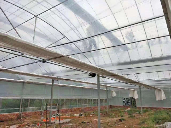 蔬菜大棚