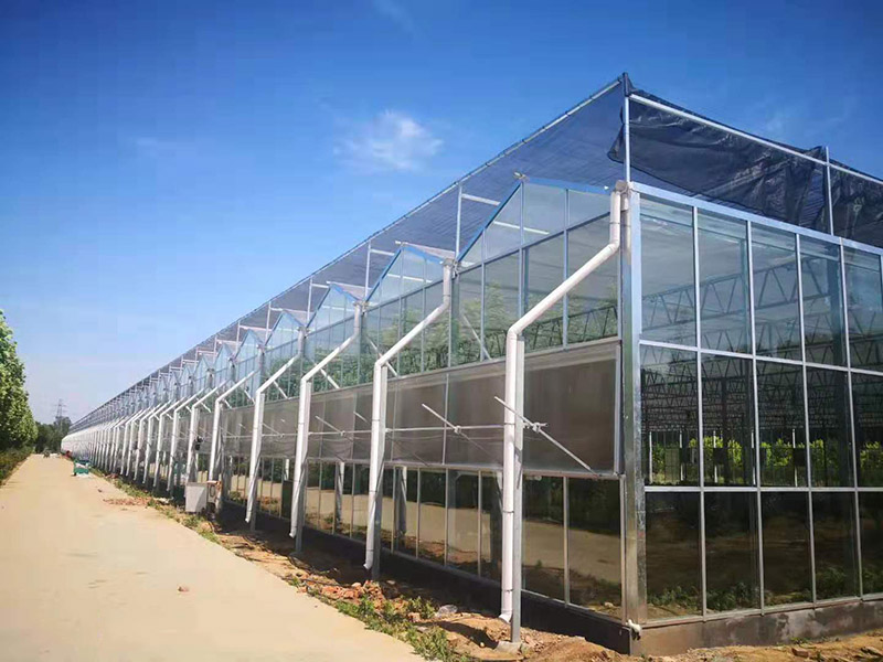建設(shè)溫室大棚要嚴(yán)格把控空氣濕度
