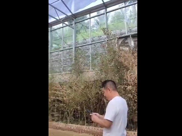 工程案例